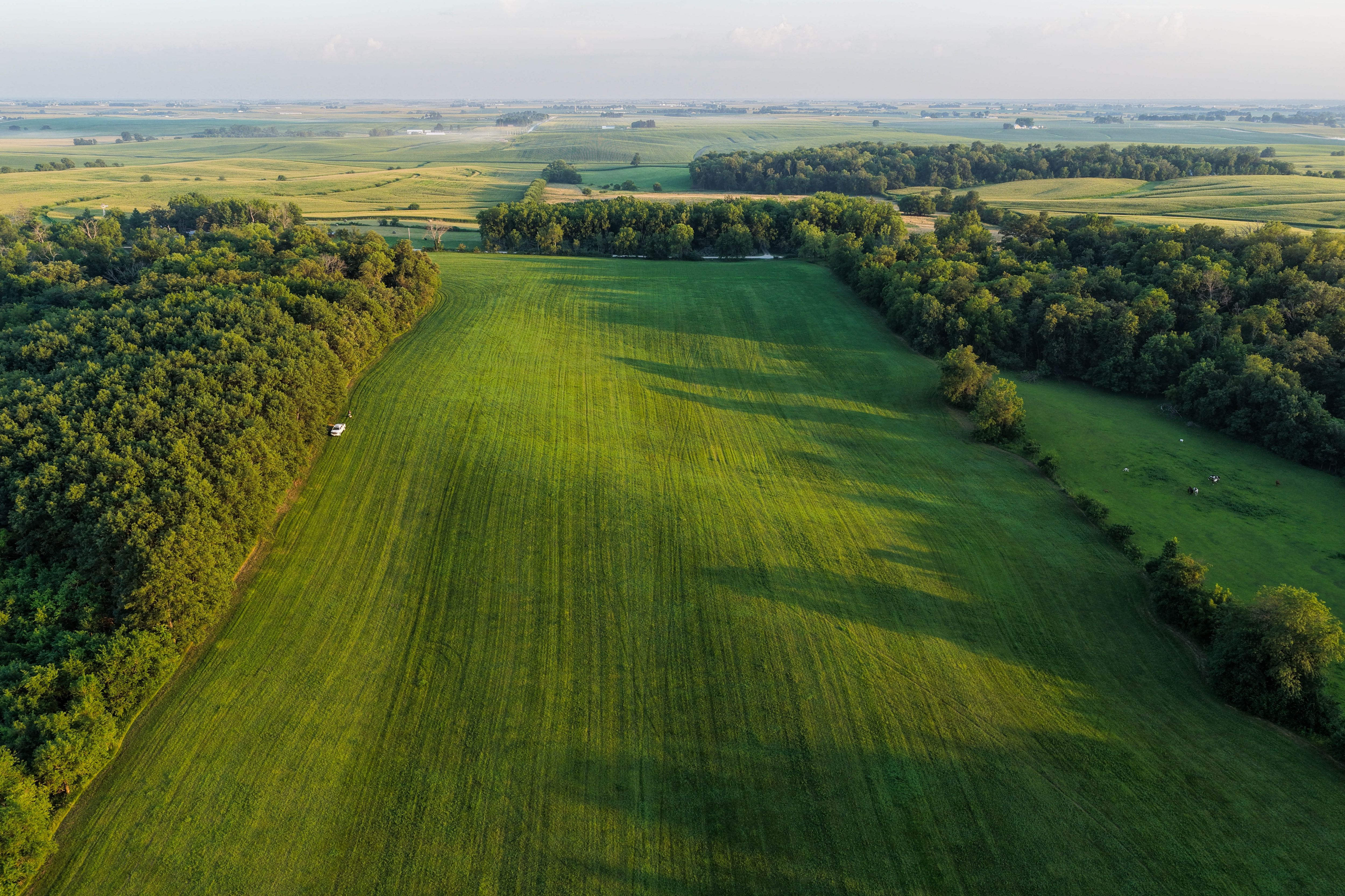 Listing Photo: Johnson County Land For Sale-26